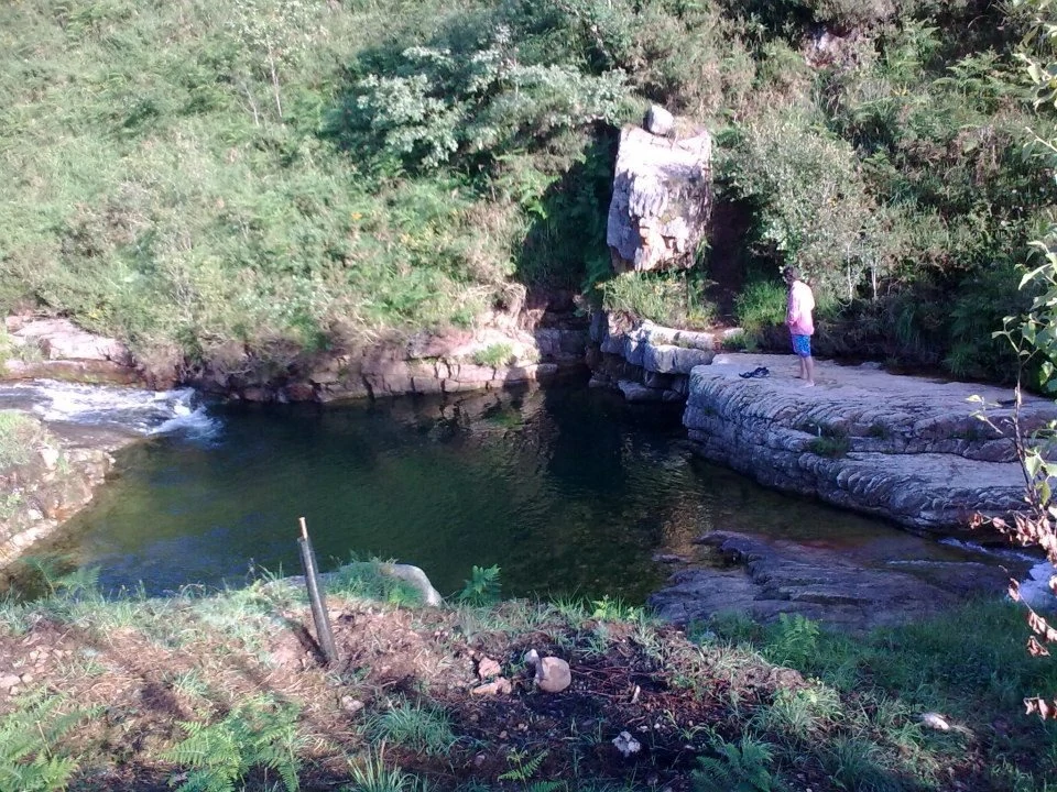 Sintonizaciones Arquetípicas